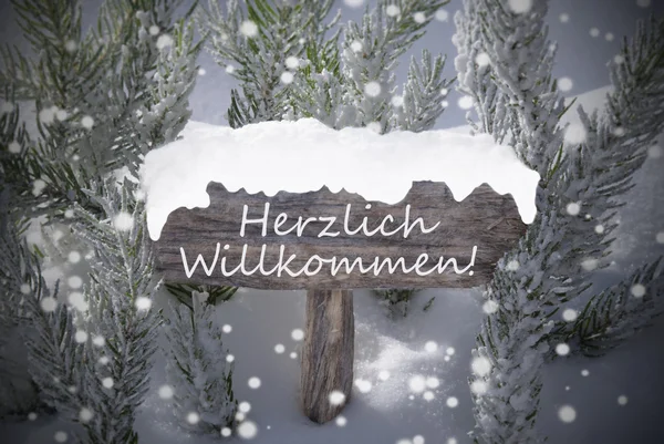 Señal de Navidad Copos de nieve abeto Willkommen significa Bienvenido — Foto de Stock