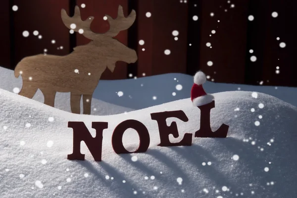 Card With Moose And Snow, Noel Mean Christmas, Snowflakes — 스톡 사진