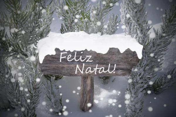 Sign Snowflakes Fir Tree Feliz Natal Mean Merry Christmas — 스톡 사진