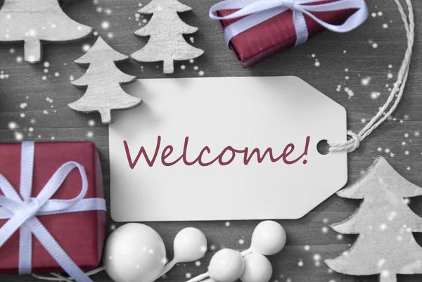 Christmas Label Gift Tree Snowflakes Welcome — Stockfoto
