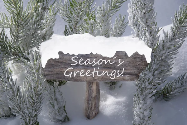 Christmas Sign Snow Fir Tree Branch Text Seasons Greetings — Stock fotografie