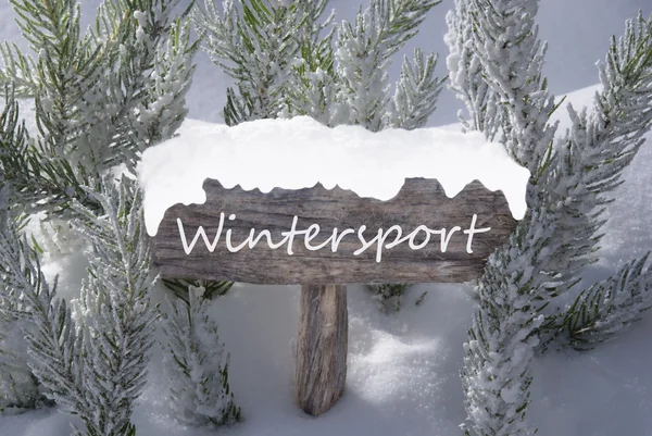Kerstmis teken sneeuw Fir Tree Branch tekst Wintersport — Stockfoto