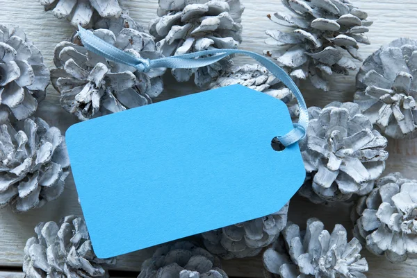 Light Blue Label On Fir Cones With Copy Space — 图库照片