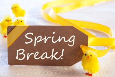 Easer Label With Chicks, Text Spring Break