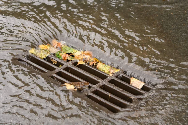 Drainage Des Eaux Pluviales Calandre Pluviale Cas Pluie — Photo