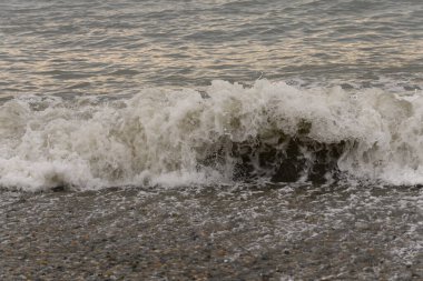 Sahile yakın beyaz deniz köpüğü, dalgalar.