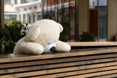 Masada kocaman bir ayı oturuyor.