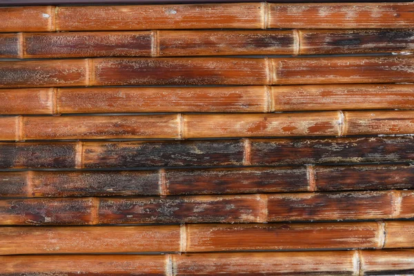 Textura Bambú Marrón Húmedo — Foto de Stock