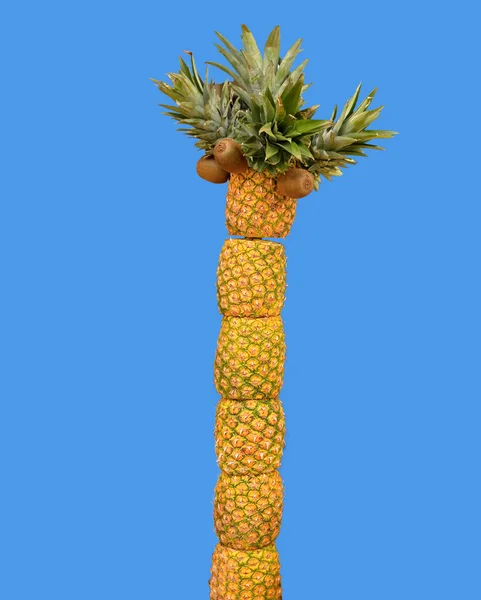 Пальма ананасы и киви — стоковое фото