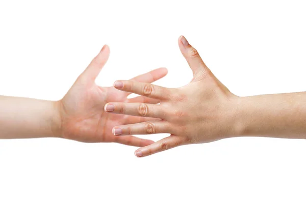 白い背景を持つ2人の女性の握手 — ストック写真