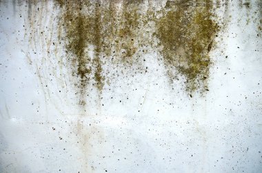 Duvardaki yağmur suyu sızıntısı dış yüzeyde hasara yol açıyor.