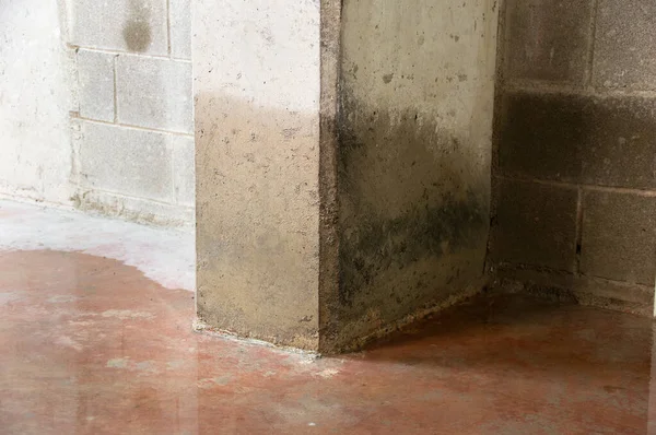 Damage to a concrete column from water in the basement