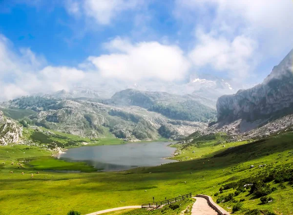 Lac Montagnes Picos Europa Espagne — Photo