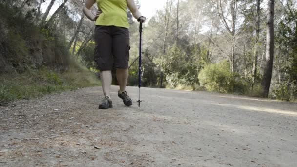 Excursionistas caminando en el bosque — Vídeos de Stock