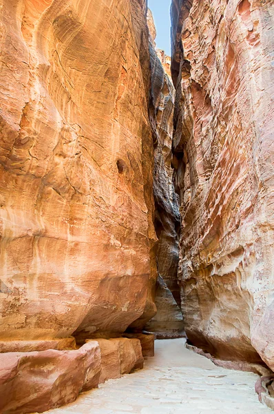 Al Siqh Kanyon Petra Jordan — Stok fotoğraf