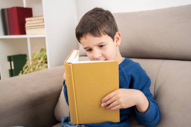 Koltukta otururken kitap okuyan çocuk portresi, evde eğitim konsepti ve okula geri dönüp yer kopyalamak.