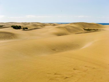 maspalomas kum tepelerine