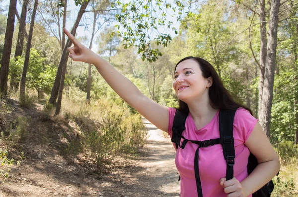 Hiker indicating  the route — Stock Photo, Image