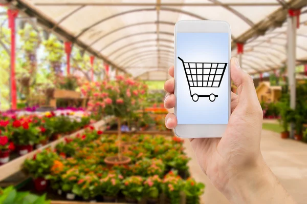 私のスマート フォンで花を買う — ストック写真