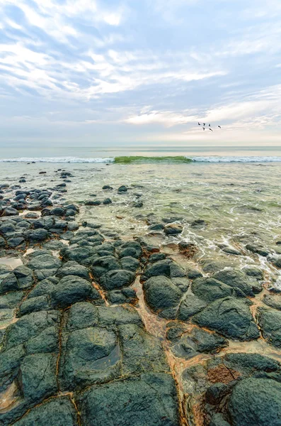 Piedras negras en la playa — Foto de Stock