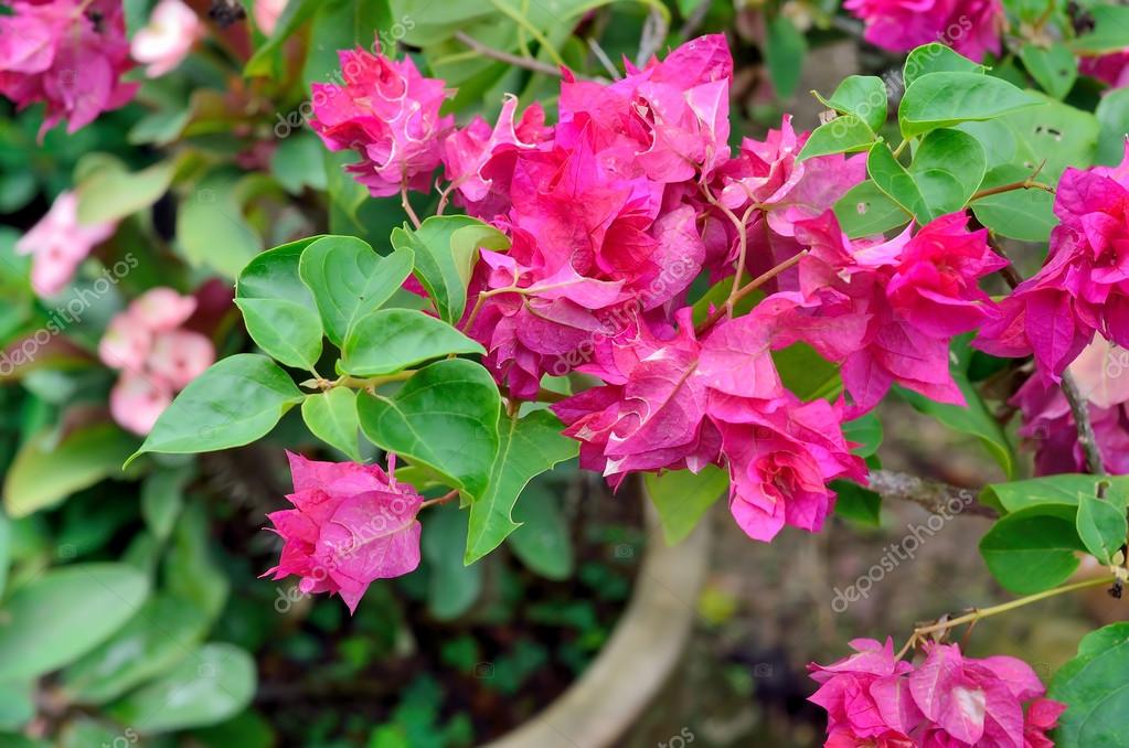 Оформление маникюра стразами фото Оформление маникюра стразами фото