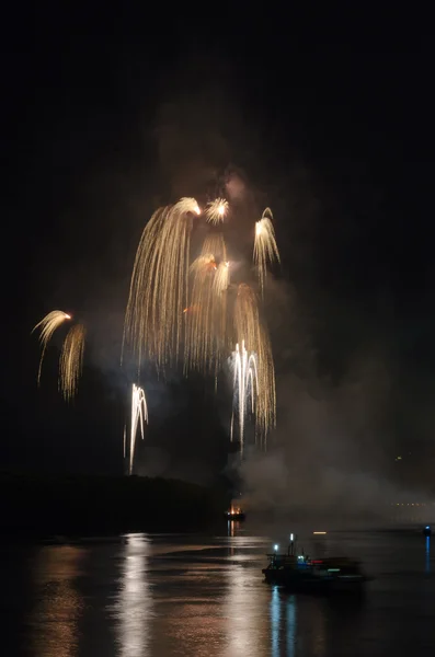 Colorful fireworks at night — Stock Photo, Image