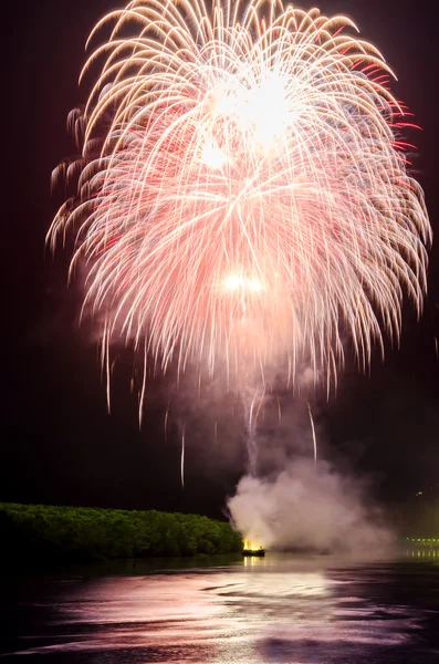 Colorful fireworks at night — Stock Photo, Image