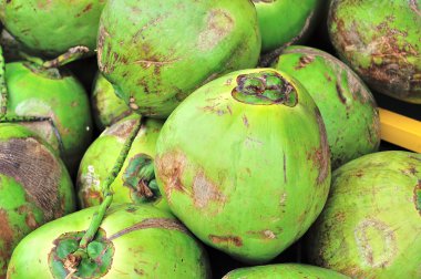 Yeşil Hindistan cevizi yığını