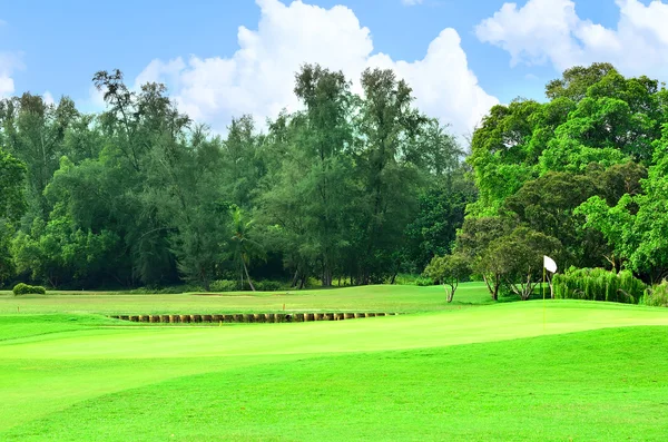 Campo da golf verde — Foto Stock