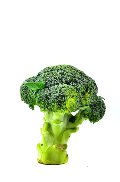Brócoli saludable — Foto de Stock