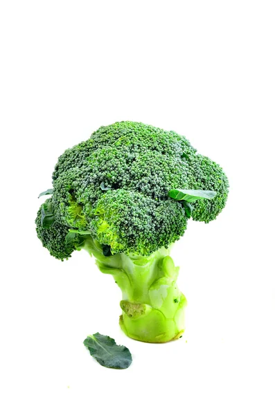Brócoli saludable — Foto de Stock