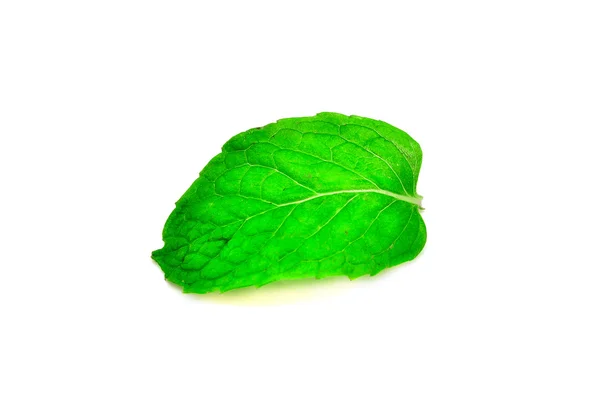 Green Mint leaf — Stock Photo, Image