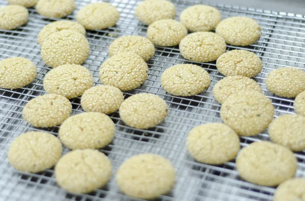 Cookies op een bakplaat voor oven — Stockfoto