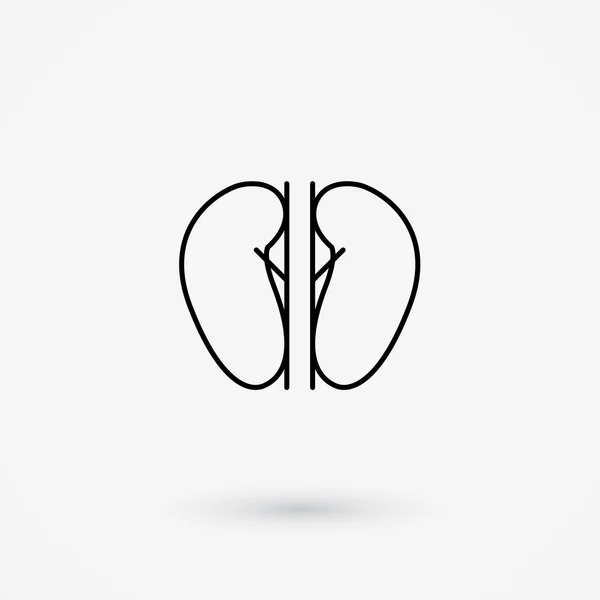 Vector kidneys icon — Stock Vector