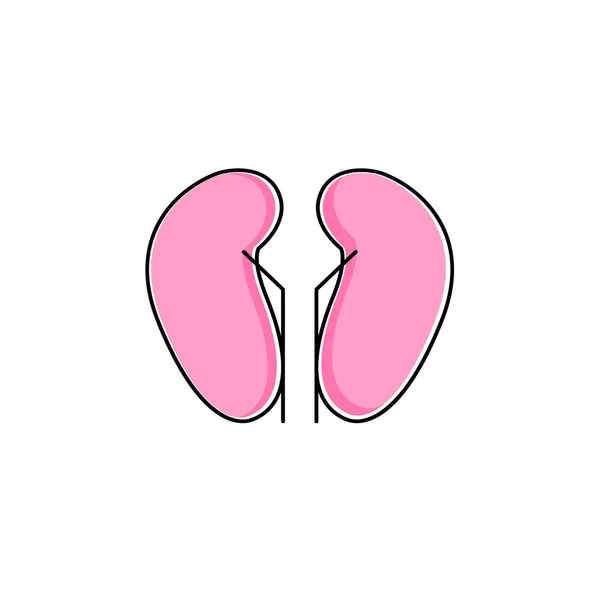 Vector kidneys icon — Stock Vector