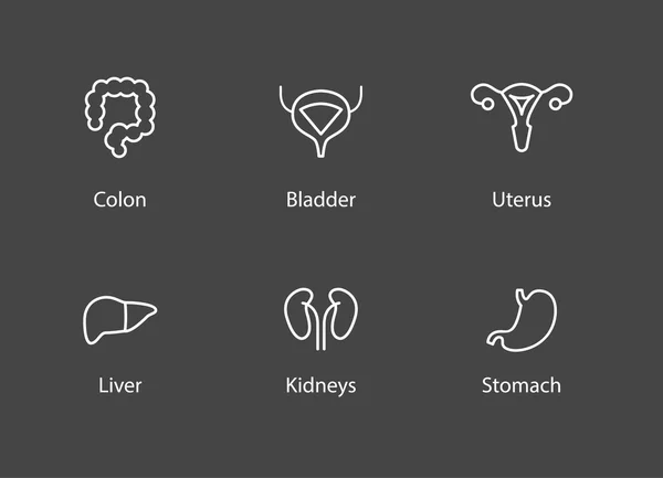 Iconos de órganos internos humanos blancos — Archivo Imágenes Vectoriales
