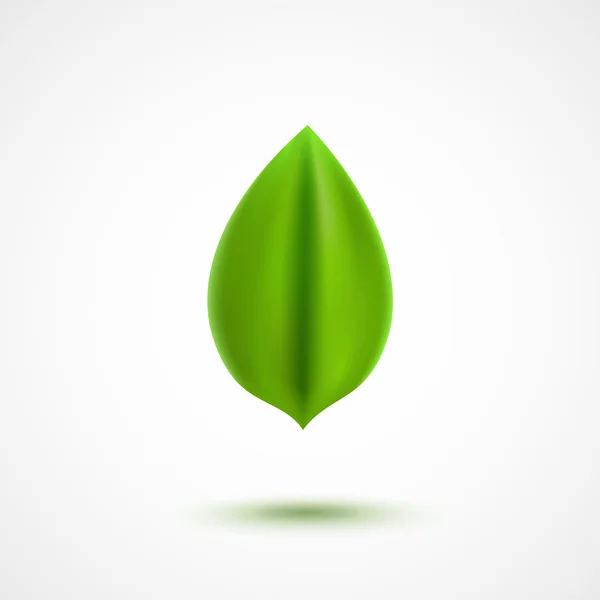 Realistic vector green leaf — Stock Vector