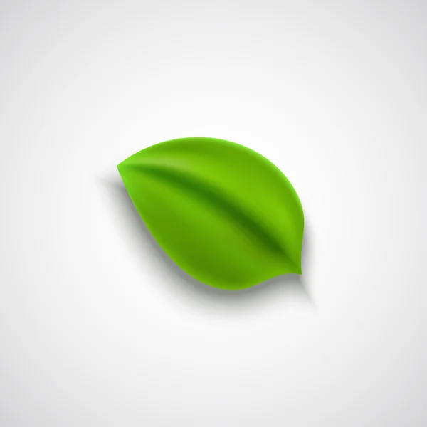 Realistic vector green leaf — Stock Vector