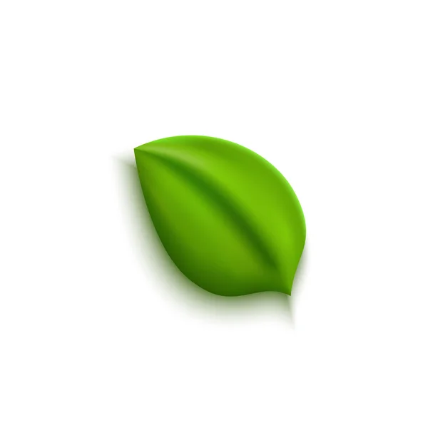 Realistic vector green leaf — Stock Vector