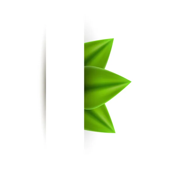 Feuille de papier réaliste vert bannière fond abstrait — Image vectorielle