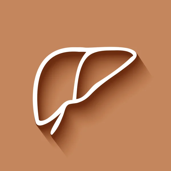 insan karaciğer simgesi logo, düz uzun gölge