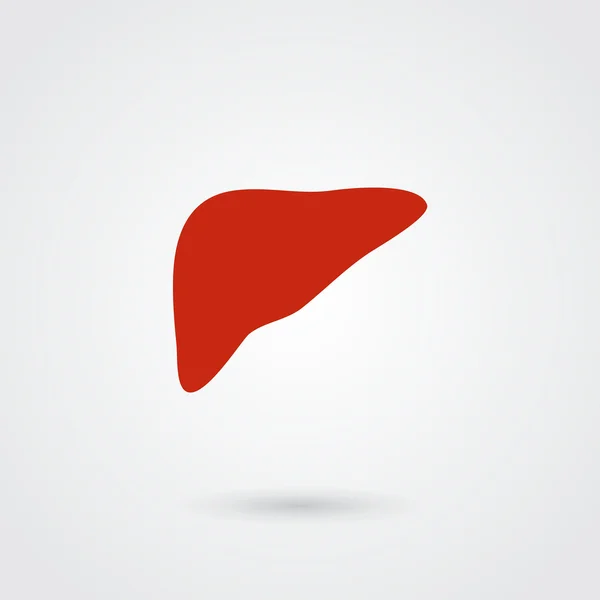 Eenvoudige lever pictogram — Stockvector