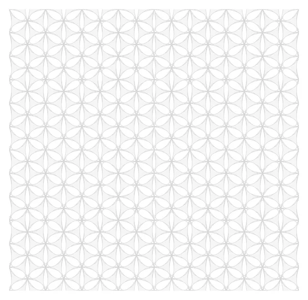 White and gray floral seamless pattern — Stock Vector