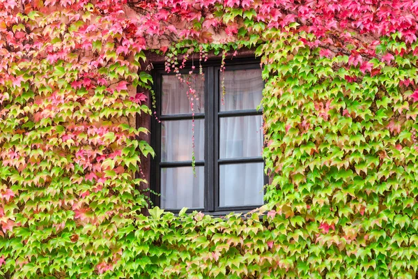 在传统的欧洲国家的一座旧房子的窗口 — 图库照片