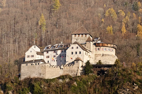 列支敦士登瓦杜兹城堡 — 图库照片