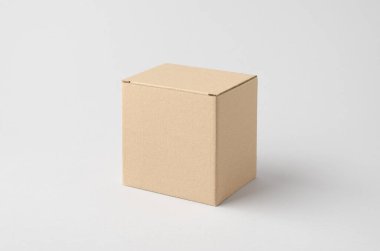 Tarafsız arkaplanda Kraft karton paketleme kutusu modeli
