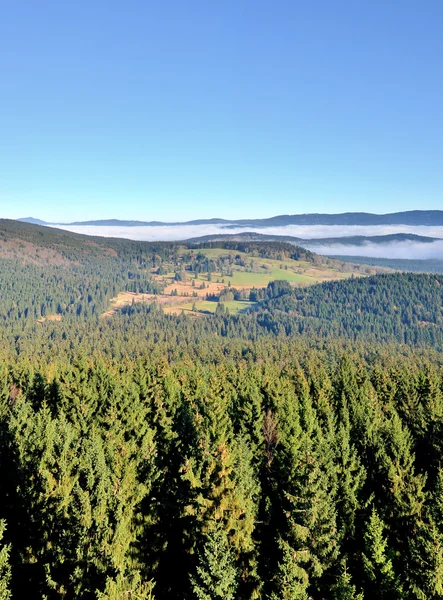 Landscape with morning fog in the valley — Stock Photo, Image