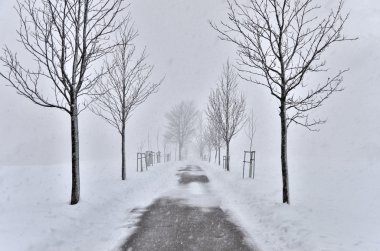 arabanın içinde bir snowstor