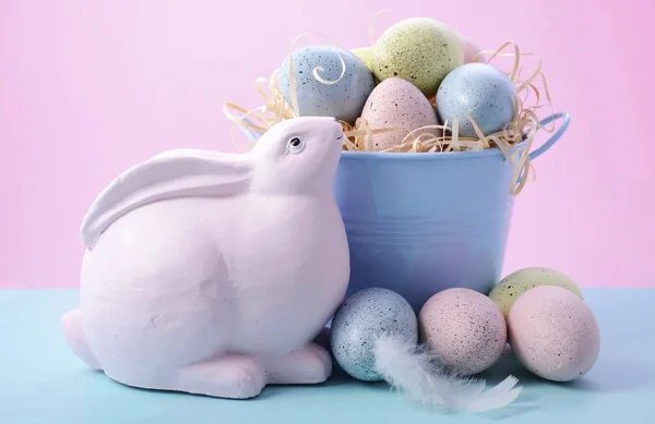 Easter Bunny with Bucket of Eggs — Stock Photo, Image