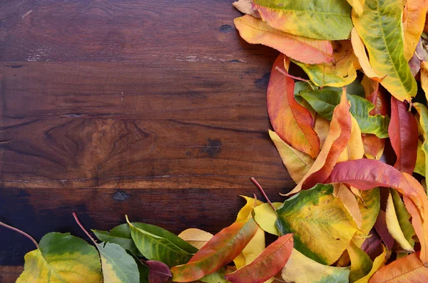 Autumn Fall achtergrond op donker hout. — Stockfoto